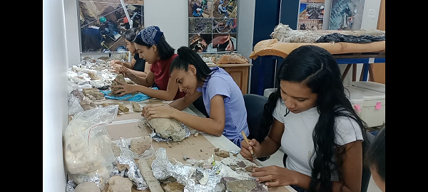 Estudantes preparando fósseis 