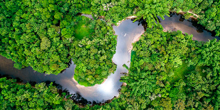 VIII do Encontro de Pós-Graduação: eBook celebra a pluralidade de pesquisas na Amazônia